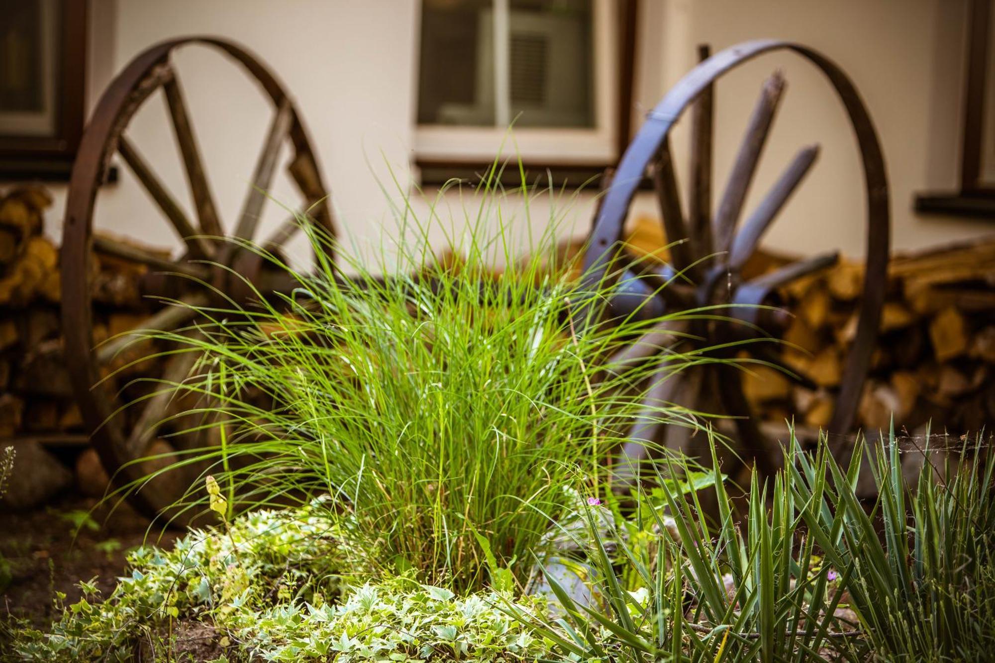 Seehotel Schorfheide Althüttendorf エクステリア 写真